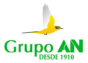 Grupo-AN-Logo-Fondo-Blanco