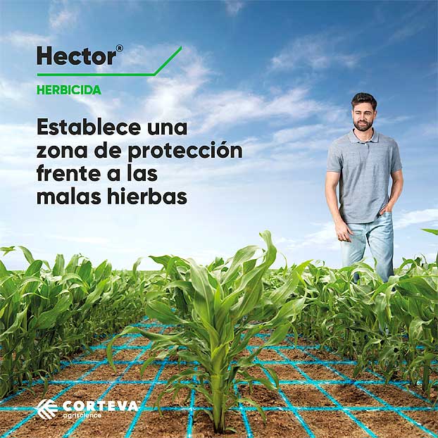 Corteva presenta Hector el nuevo herbicida para malas hierbas en maíz