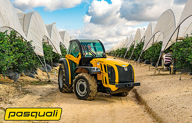 Foto Pasquali en la zona de cultivo del ar&aacute;ndano en Huelva