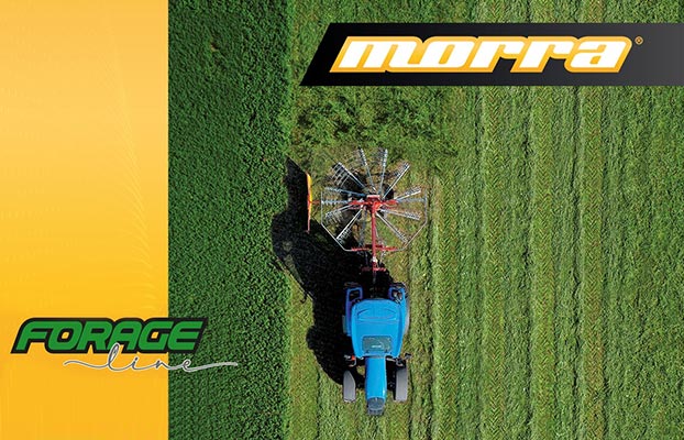 Foto La gama de forraje Morra: fuerza renovada