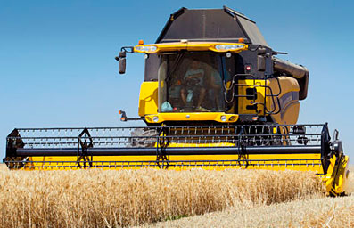 Foto CX8080 ELEVATION