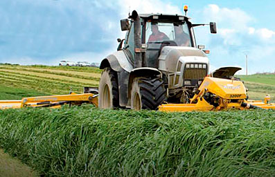 Foto SEGADORA ELHO 10500 DELTA