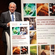 La Interprofesional del Vino de España representa la unidad del sector