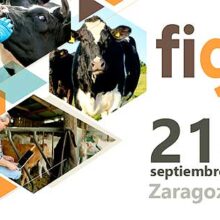 FIGAN abre sus puertas en Zaragoza con 827 firmas expositoras