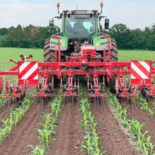 Escardado de Steketee en siembra de doble fila DeltaRow de Lemken