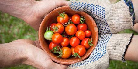 Promocionar la agricultura de proximidad