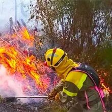 La gestión forestal es la mejor fórmula para prevenir incendios