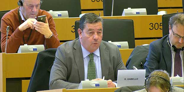 Cooperativas pide en el PE la eliminación de los aranceles a la aceituna negra