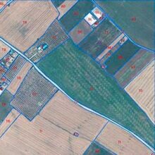 El MAPA constata un importante avance de la agricultura de carbono en España