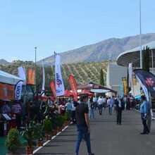 Expoliva 2023 habilita más de 5.000 plazas de aparcamiento durante la feria