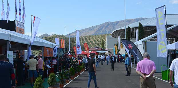 Expoliva 2023 habilita más de 5.000 plazas de aparcamiento durante la feria