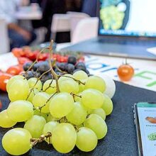 FRUIT LOGISTICA 2024 anuncia los nominados a los premios a la innovación