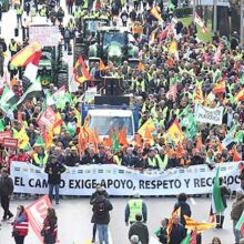 El MAPA publica el proyecto del real decreto que flexibiliza la PAC