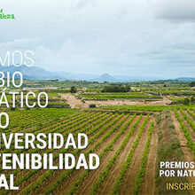 Nueva edición de los premios Sostenibles por Naturaleza de UPA y Syngenta