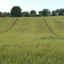 Huesca celebra una Jornada gratuita sobre Agricultura de Conservación en Cultivos Extensivos