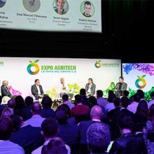 Expo Agritech analizará la evolución del sector del olivo