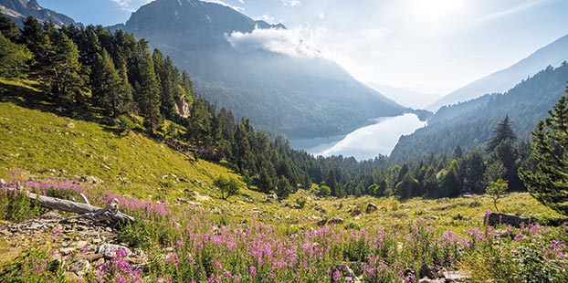 Foto Parques Nacionales en Espa�a, historia natural