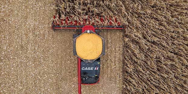 Nuevos cabezales de maíz de Case IH para un mayor rendimiento