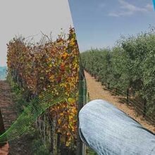 Fede presenta la solución de digitalización de tratamientos Sprayer Connect en FIMA 2026