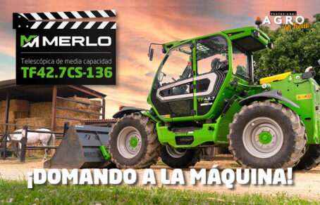 Telescópica Merlo TF42.7CS en una hípica con un caballo al fondo y un cielo al atardecer