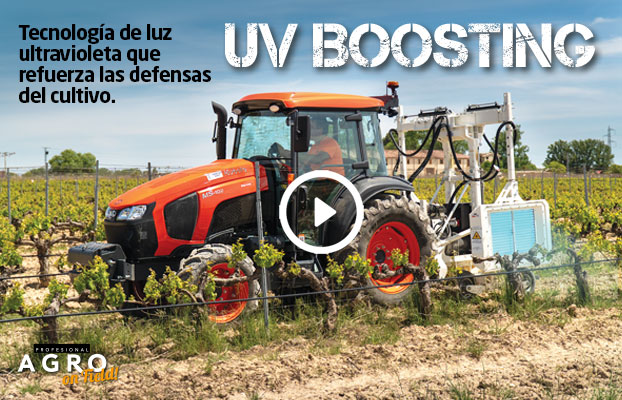 Foto UV BOOSTING, la luz ultravioleta que refuerza las defensas naturales del cultivo